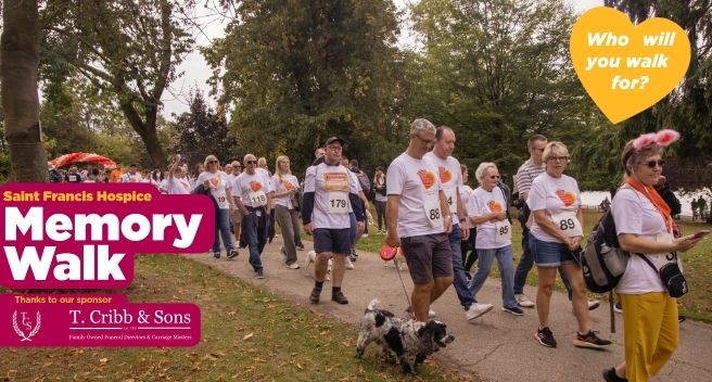 Memory Walk graphics Hero Image