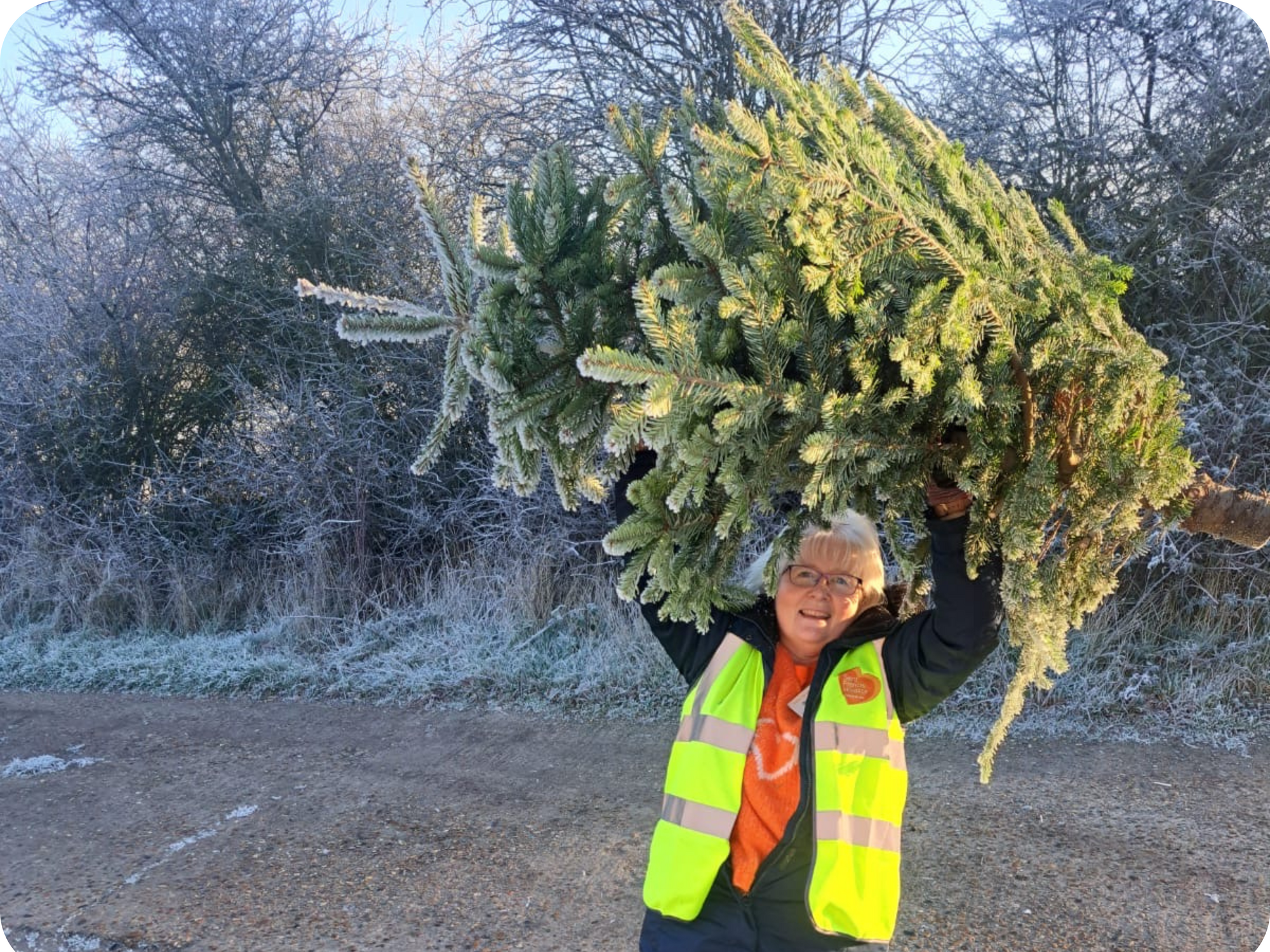 Christmas Tree Recycling 2025 2 