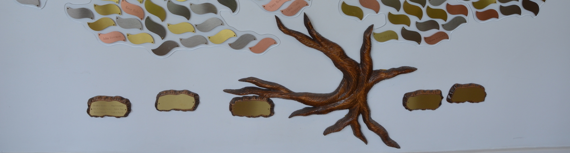 DSC_0638 (cropped)