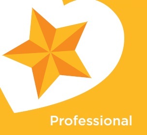 Values - professional