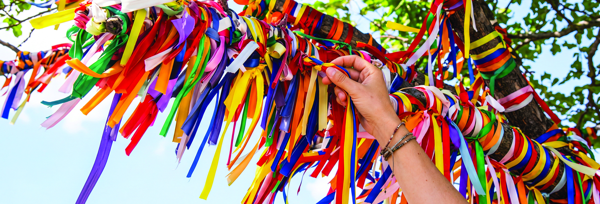 ribbons_hand (cropped)