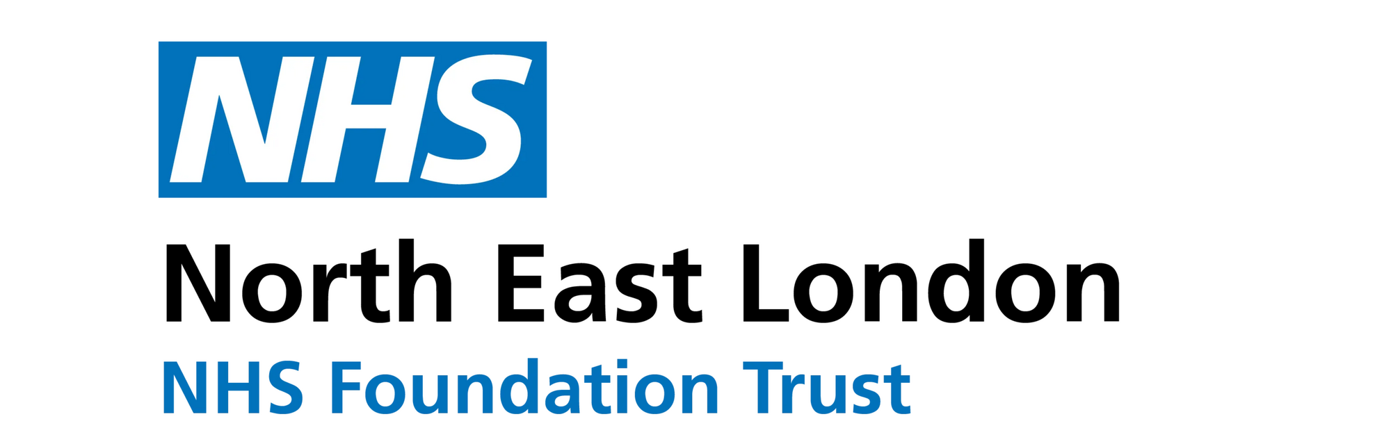 NELFT Logo (cropped)