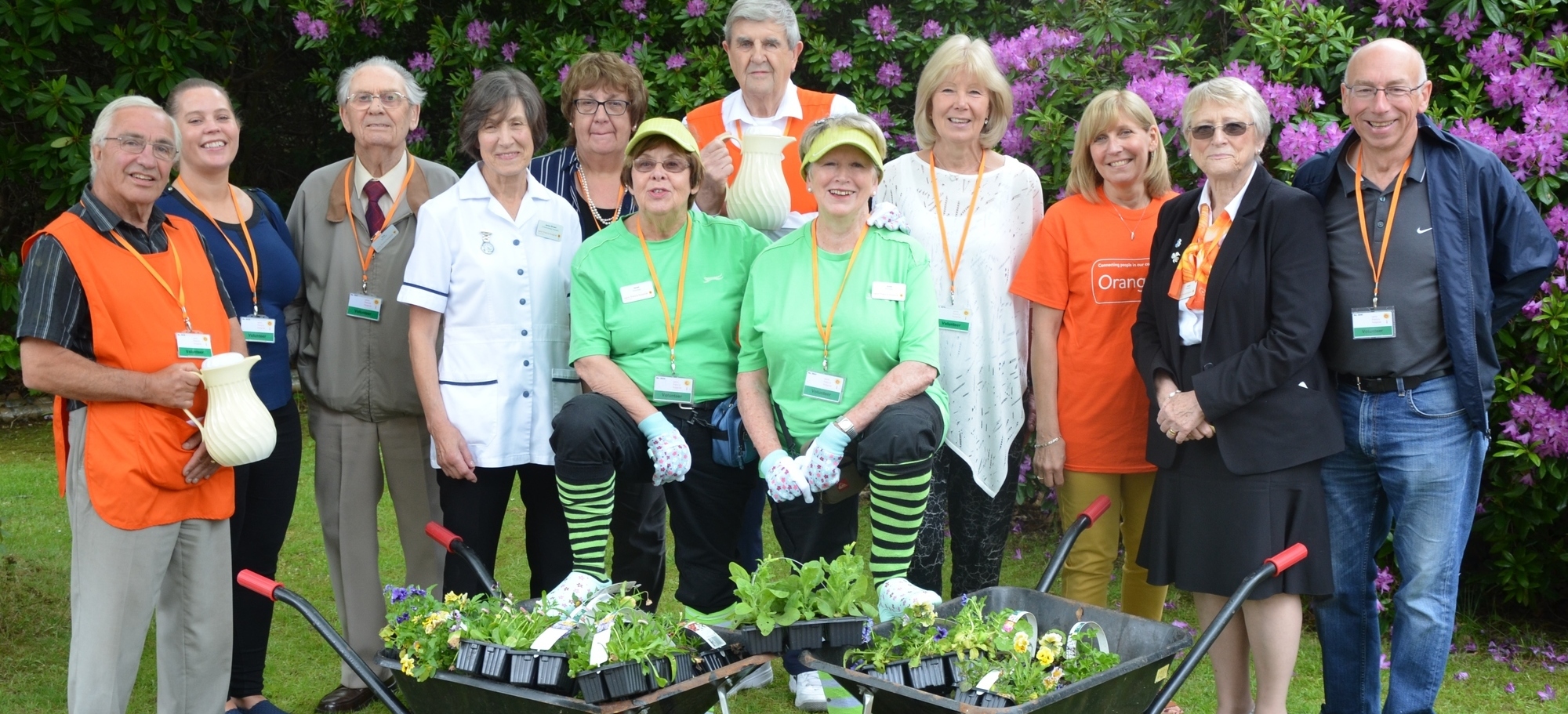 team of volunteers (cropped)