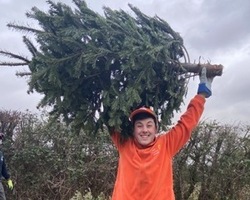 Sean Erwood with a recycled Christmas tree (cropped)