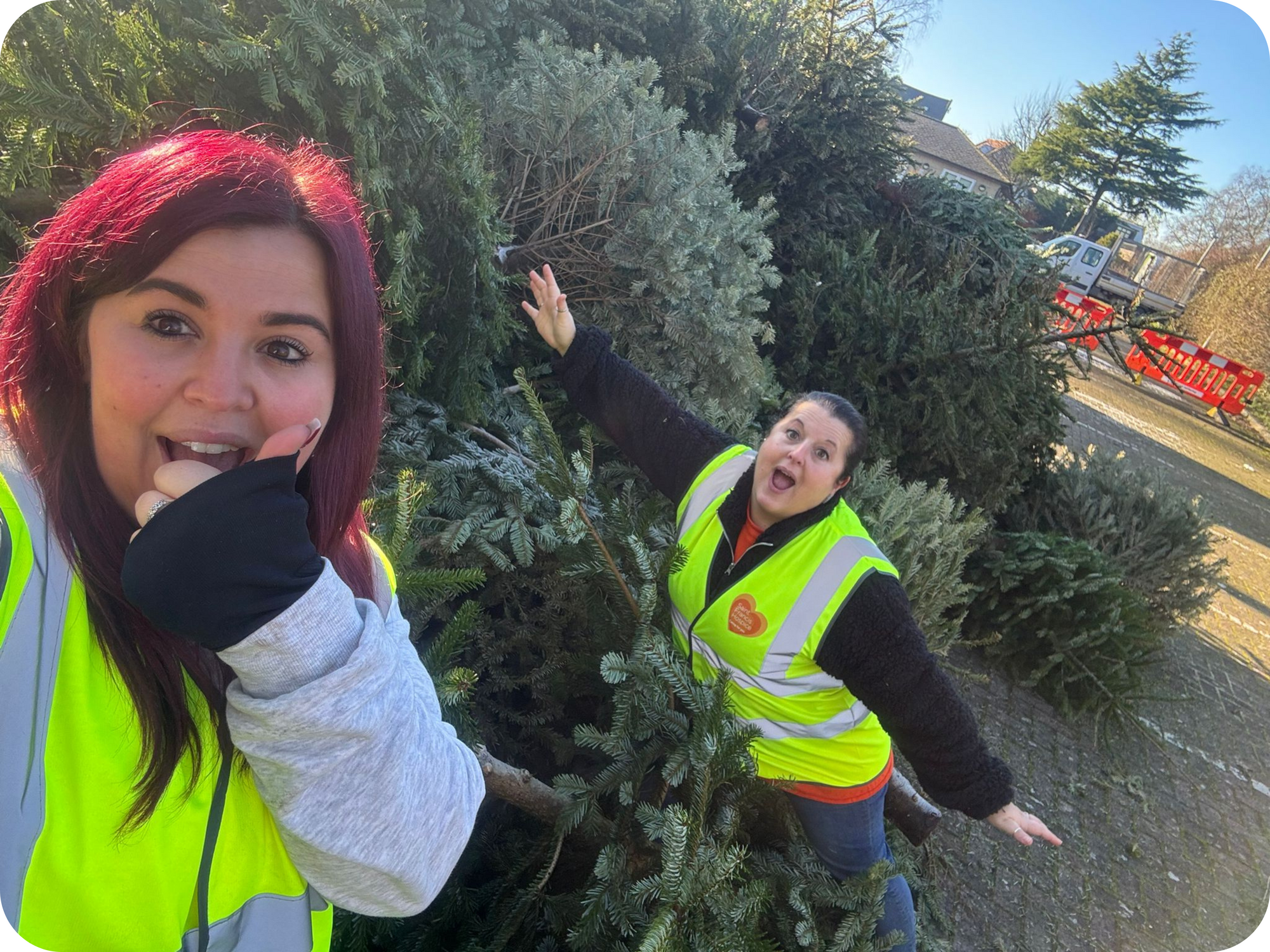 Christmas Tree Recycling 2025